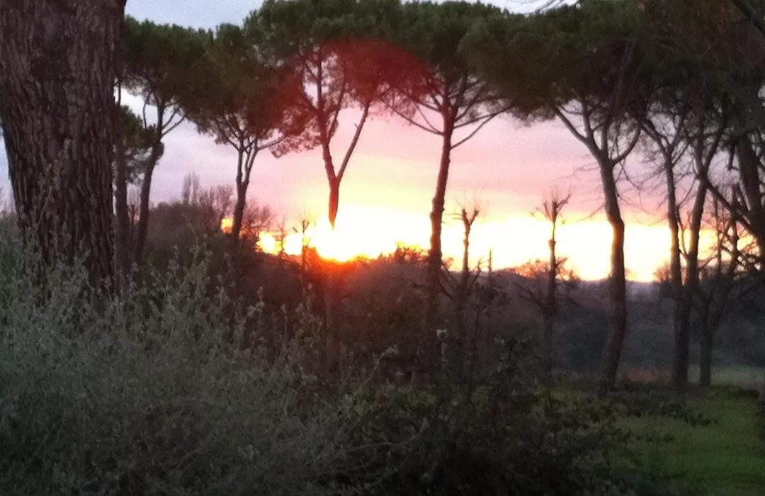Villa Acquaviva Wine Resort-1